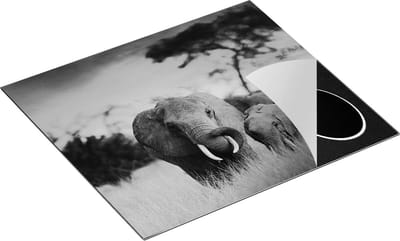 Chefcare Inductie Beschermer Groep Olifanten in het Wild - Kudde - Zwart Wit - 60x50 cm - Afdekplaat Inductie - Kookplaat Beschermer - Inductie Mat