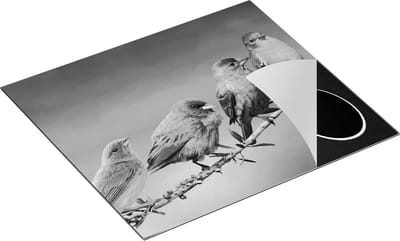 Chefcare Inductie Beschermer Kleurrijke Zangvogels op een Tak - Kleur - Zwart Wit - 60x50 cm - Afdekplaat Inductie - Kookplaat Beschermer - Inductie Mat
