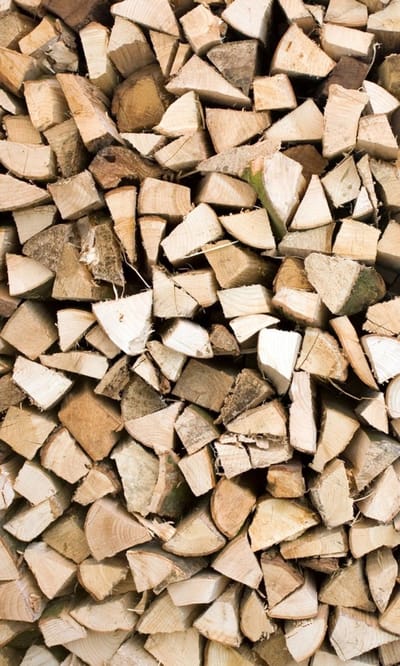 Fotobehang - Timber Logs 150x250cm - Vliesbehang