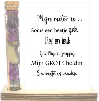 Droogbloemen in buisje liefste Meter | paars | liefste Meter | allerliefste Meter | meter vragen |  meter worden | cadeau | de liefste