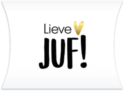 Gondeldoosje Lieve JUF - Einde Schooljaar - Verjaardag - Bedankt - Juffendag
