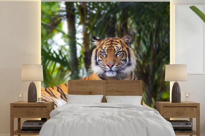 Behang - Fotobehang Tijger - Dieren - Bos - Bladeren - Jungle - Breedte 300 cm x hoogte 300 cm