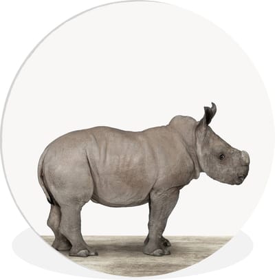 Wandcirkel kids - Decoratie kinderkamers - Neushoorn - Wilde dieren - Safari - Kinderen - Muurdecoratie - Schilderij voor kinderen - 150x150 cm - Kunststof