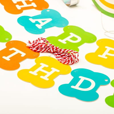 Kikkerland Feestpakket - Voor je puppy en hond - Happy Birthday versiering