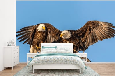 Behang - Fotobehang Vogel - Takken - Arend - Roofvogels - Lucht - Breedte 295 cm x hoogte 220 cm