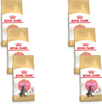 Royal Canin Maine Coon Kitten - Kitten-Kattenvoer - 6 x 2 kg