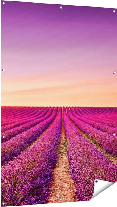 Gards Tuinposter Paarse Lavendel Bloemenveld - 100x150 cm - Tuindoek - Tuindecoratie - Wanddecoratie buiten - Tuinschilderij
