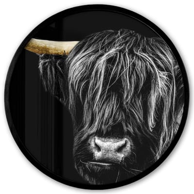 Poster in lijst Rond - Fotolijst 40x40 cm - Posters - Schotse hooglander - Goud - Vacht - Dieren - Koe - Ronde posterlijst zwart - Decoratie - Wanddecoratie woonkamer - Muurdecoratie slaapkamer