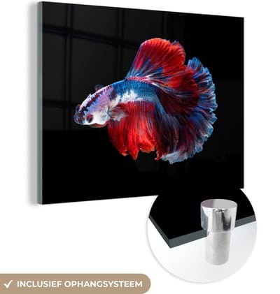 MuchoWow® Glasschilderij 160x120 cm - Schilderij acrylglas - Vis - Staart - Zwart - Foto op glas - Schilderijen
