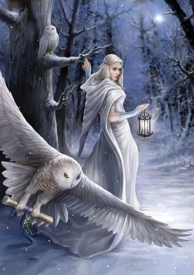Art Puzzle puzzel Midnight Messenger - 1000 stukjes fantasy.