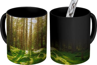 Magische Mok - Foto op Warmte Mokken - Koffiemok - Bomen - Bos - Mos - Planten - Zon - Natuur - Magic Mok - Beker - 350 ML - Theemok