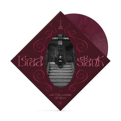 In The Midst Of You - Brad Stank