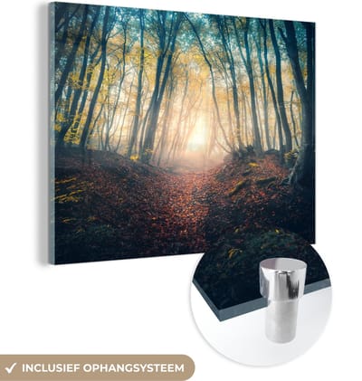 MuchoWow® Glasschilderij 120x90 cm - Schilderij acrylglas - Bos - Mist - Zon - Herfst - Foto op glas - Schilderijen
