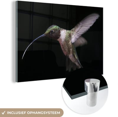 MuchoWow® Glasschilderij 120x80 cm - Schilderij acrylglas - Kolibrie - Vogel - Veren - Foto op glas - Schilderijen