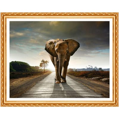 Peinture Diamant DIY 5D Broderie Point de Croix Strass Décoration de Maison Forage Rond Complet Éléphant 20X30CM