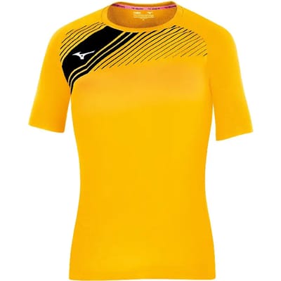 Damestrui Mizuno Team Iwata Game