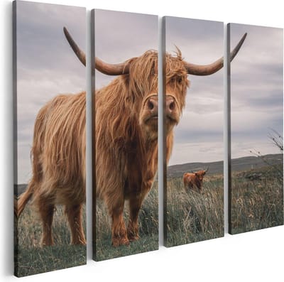 Artaza Canvas Schilderij Vierluik Schotse Hooglander Koeien In De Wei - 80x60 - Foto Op Canvas - Canvas Print