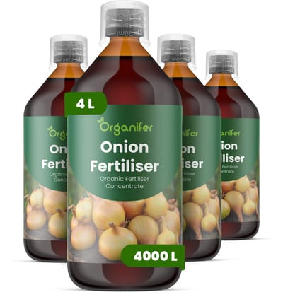 Vloeibare Meststof Voor Ui 4X1 L Voor 4000 L - Npk 2-1-8 - Verbetert Bolgrootte - Stevigheid En Bewaarpotentieel - Ondersteunt Sterke Wortelstelsels Voor Een Stabiele Opname Van Voedingsstoffen - Ideaal Voor Alle Uientypen - Organifer