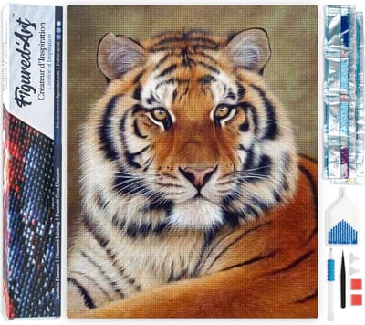 Figured'Art Diamond Painting set Volwassenen 40x50 cm Oog tijger - 5D DIY Art full drill vierkante diamant - Opgerold canvas