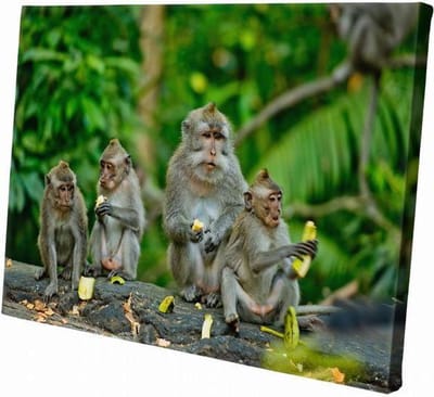 Aapjes | 30  x 20 CM | Wanddecoratie | Dieren op canvas | Schilderij | Canvasdoek | Schilderij op canvas