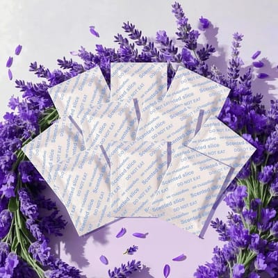 Geurzakjes Lavendel - Geurverwijderaars Verfrissers - Kasten Laden Schoenen - Langdurige Frisse Geur - 10 Stuks