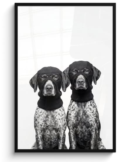 Poster in lijst - Fotolijst 80x120 cm - Posters - Honden - Bivakmuts - Zwart - wit - Posterlijst zwart - Decoratie - Wanddecoratie woonkamer - Muurdecoratie slaapkamer