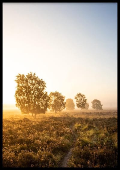 Poster Green Day - 30x40 cm Met Fotolijst - Natuur Poster - WALLLL