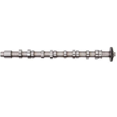 Nokkenas  AE CAM962