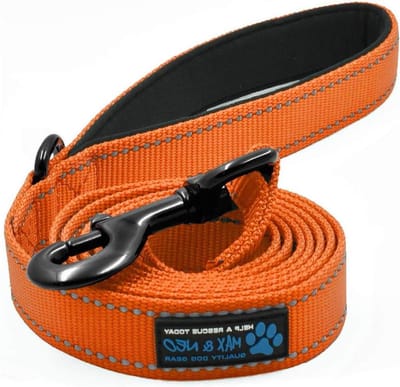 Hondenriem Nylon - Wandelriem Hond - Veilig Uitlaten - Reflecterende Naden - 4 FT x 1 inch - Oranje