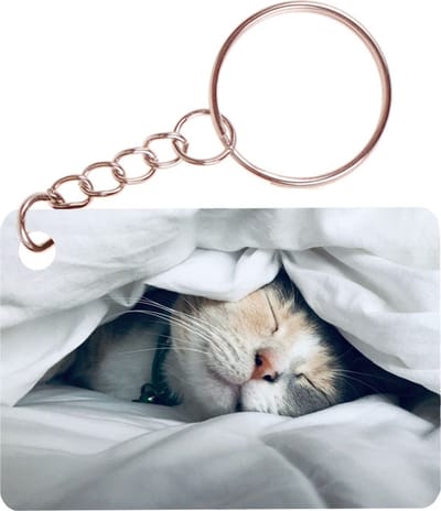 Sleutelhanger 6x4cm - Spaarpots - Poes onder Laken