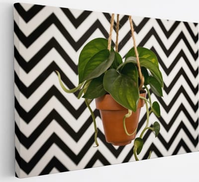 Saammp Canvas Schilderij - Hartvormige Bladplant in Pot - Natuur - Abstract - 30x20 - Foto op canvas - Wanddecoratie - Muurdecoratie Woonkamer - Kantoor Decoratie