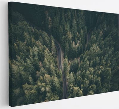 Saammp Canvas Schilderij - Weg tussen de bomen door - Natuur - 30x20 - Foto op canvas - Wanddecoratie - Muurdecoratie Woonkamer - Slaapkamer decoratie - Canvas Print