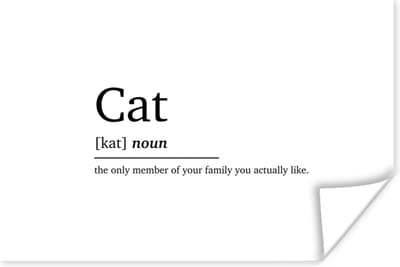 Poster Cat - Spreuken - Quotes - Kat definitie - Woordenboek - 180x120 cm XXL