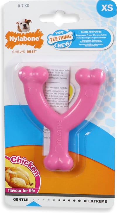Nylabone Puppy Dental Wishbone - XS - Roze