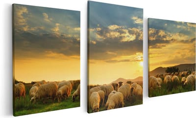 Artaza Canvas Schilderij Drieluik Kudde Schapen op het Gras bij Zonsondergang - 120x60 - Foto Op Canvas - Canvas Print