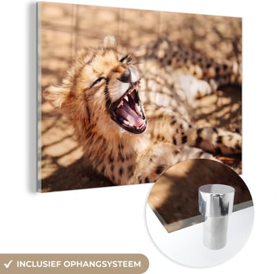 MuchoWow® Glasschilderij 60x40 cm - Schilderij acrylglas - Cheetah - Dier - Close up - Foto op glas - Schilderijen