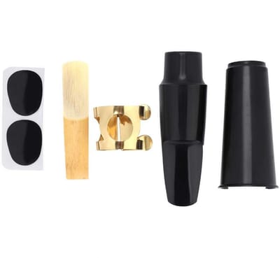 Dailygoody - 5 in 1 Alt Saxophon Kit - Saxofoon Accessoires - Lichtgewicht en Draagbaar - Professioneel Geluid - Geschikt voor Beginners - Ideaal