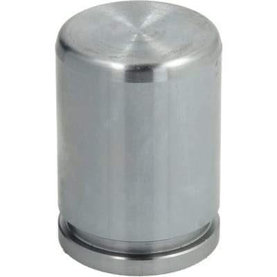 Zuiger, remklauw AUTOFREN SEINSA D025550, achter
