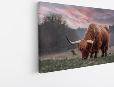Saammp Canvas Schilderij Schotse Hooglander Koe in de sneeuw- Dieren - Natuur - 45x30 - Foto op canvas - Wanddecoratie - muurdecoratie Woonkamer - Slaapkamer decoratie - Canvas Print