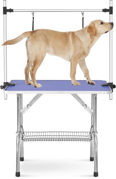 Trimtafel - klapbare trimtafel - honden verzorgingstafel - trimtafel voor honden - dierentafel met lijn en netplank - draagbare hondentafel - verstelbare trimtafel - trimtafel 90x60x76 cm - maximale belasting 60 kg - blauwe