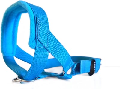 Hoofdhalster hond - Anti trek - Licht blauw - Maat M - Gevoerd - Antitrek hoofdhalster hond - Halster hond - Anti trek hond - Training band