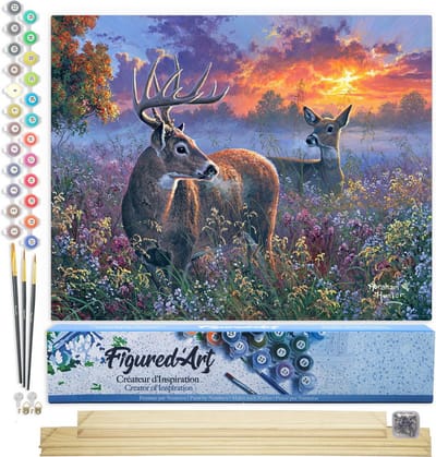 Figured'Art Schilderen op Nummer Volwassenen canvas Hertenpaar - Handwerk acrylverf Kit DIY Compleet - 40x50cm met DIY houten lijst