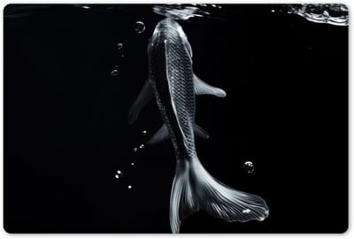 Placemats 45x30 cm - Placemat kunststof - 1 stuk - Koi - Vissen - Water - Zwart - Borden onderleggers - Decoratie voor op tafel - Keuken tafeldecoratie accessoires - Vinyl onderlegger - Tafelversiering