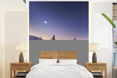 Behang - Fotobehang Winter - Sneeuw - Nacht - Bomen - Breedte 175 cm x hoogte 240 cm