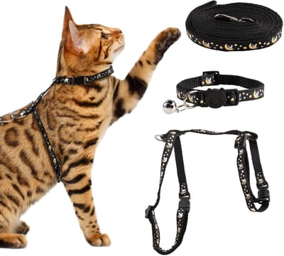 Dailygoods- Kattenharnas Verstelbaar - Kattenriem - Veiligheidsgesp - Looplijn Kat - Voor Kleine/Middelgrote Katten - Antislip Design - Kattenuitrusting