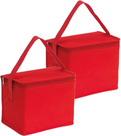 Kleine koeltas voor lunch - 2x - rood - 20 x 13 x 17 cm - 4.5 liter - Koeltassen - medicijnen/sixpack