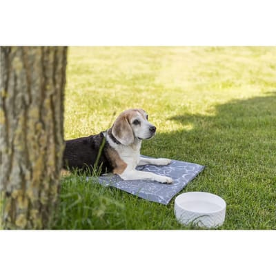 Trixie Ceramic Bowl dog 0.9 l/ø 16 cm white