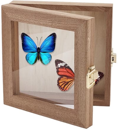 Dailygoods- Insectenvitrine Houten Frame - Vlinderschaduwdoos - Insectenspecimen Opbergdoos - 16,5 x 13,96 cm - Natuurlijke Schoonheid - Geschikt voor Tentoonstelling - Insectenbox
