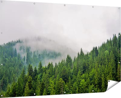 Gards Tuinposter Groen Bos met Bomen tijdens de Mist - 180x120 cm - Tuindoek - Tuindecoratie - Wanddecoratie buiten - Tuinschilderij