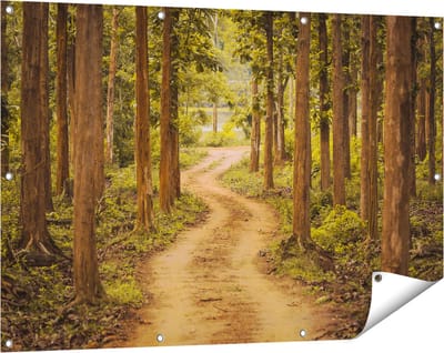 Gards Tuinposter Pad in het Bos met Bomen - 120x80 cm - Tuindoek - Tuindecoratie - Wanddecoratie buiten - Tuinschilderij
